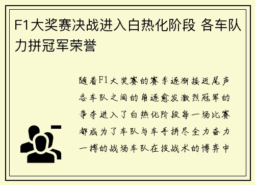 F1大奖赛决战进入白热化阶段 各车队力拼冠军荣誉