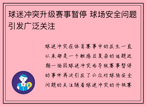 球迷冲突升级赛事暂停 球场安全问题引发广泛关注